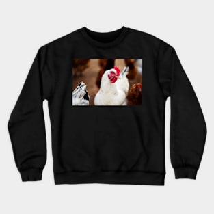 Delaware Hen - Chicken Crewneck Sweatshirt